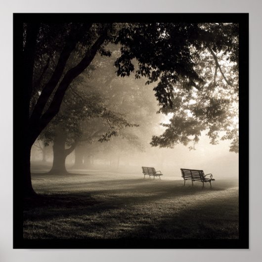 Ethereal Morning Mist in the Park ポスター (正面)