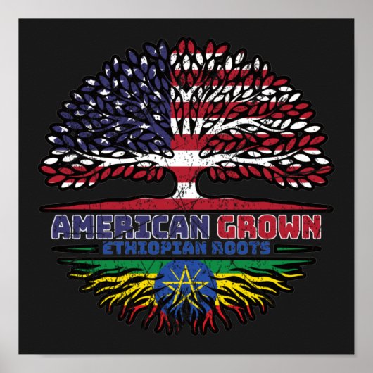 Ethiopia Ethiopian US American USA United States ポスター (正面)
