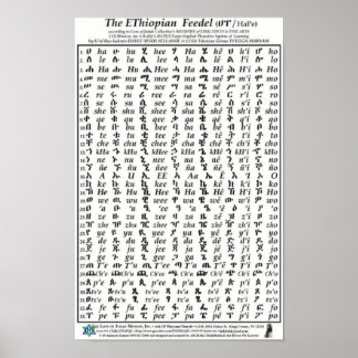 Ethiopian Fidel Feedel Alphabet Amharic Poster ポスター