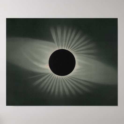 Etienne Leopold Trouvelot - Total Eclipse ポスター (正面)