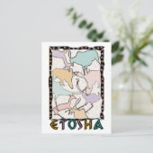 etoshaはがき ポストカード (スタンド正面)