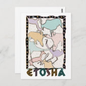 etoshaはがき ポストカード (正面/裏面)