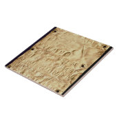 「Etruscanの短い」銘刻文字が付いている金ゴールドプレート、から タイル (側面)