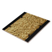 「Etruscanの長い」銘刻文字が付いている金ゴールドプレートのための タイル (側面)