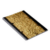 「Etruscanの長い」銘刻文字が付いている金ゴールドプレートのための ノートブック (右側)