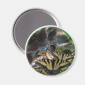 ets_イン_zazzle マグネット (正面/裏面)