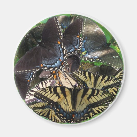 ets_イン_zazzle マグネット (正面)