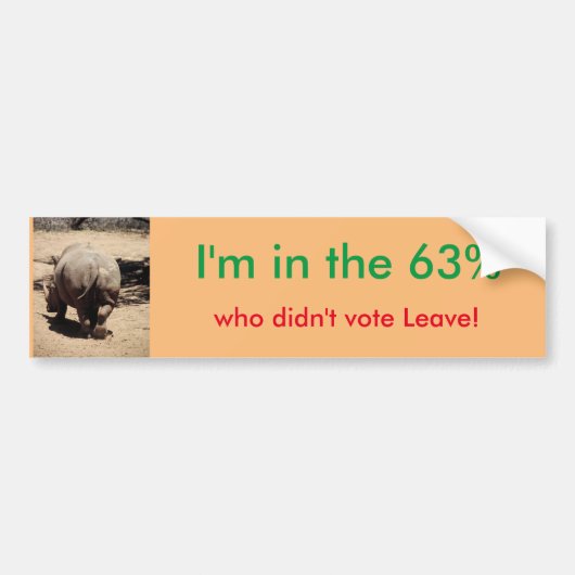 EUのバンパーステッカーに残して下さい バンパーステッカー (正面)