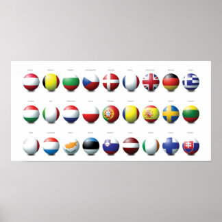 EUボール ポスター