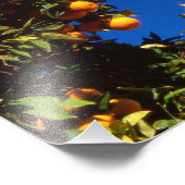 EU、ギリシャ。ギリシャ正教会 フォトプリント            (角)