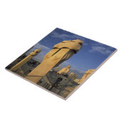 EU、スペイン、カタロニア、バルセロナ。アントニオ·ガウディ タイル (側面)