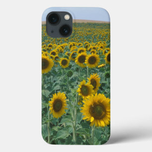 EU、フランス、プロヴァンス、ヒマワリ畑 iPhone 13ケース
