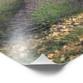 EU、フランス、プロヴァンス、ラベンダーフィールド フォトプリント            (角)