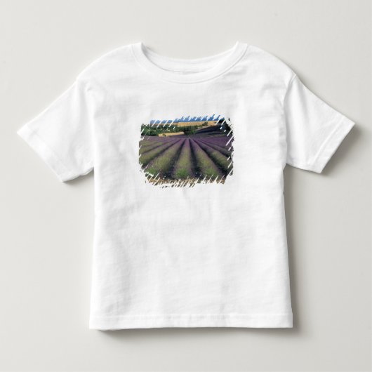 EU, フランス, プロヴァンス, ラベンダー畑 2 トドラーTシャツ (正面)