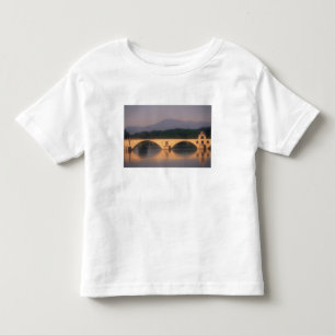 EU, フランス, プロヴァンス, ヴォクリューズ県, アヴィニョン。橋 トドラーTシャツ