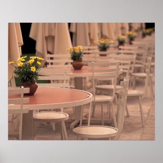 EU，フランス，ロワール・バレー，インド，ロワール， 2 ポスター (正面)