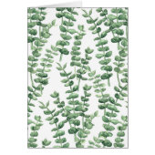 Eucalyptus 1 (正面)