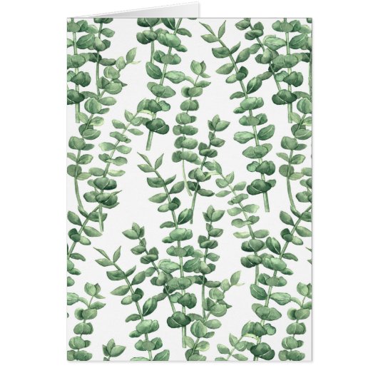 Eucalyptus 1 (正面)