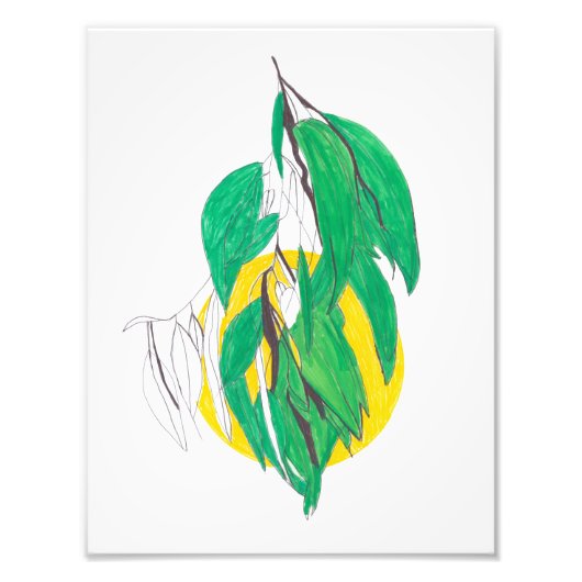 Eucalyptus branch Print フォトプリント (正面)