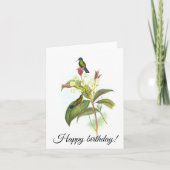 Eucephala caerulea (Blue-chinned Sapphire) カード (正面)