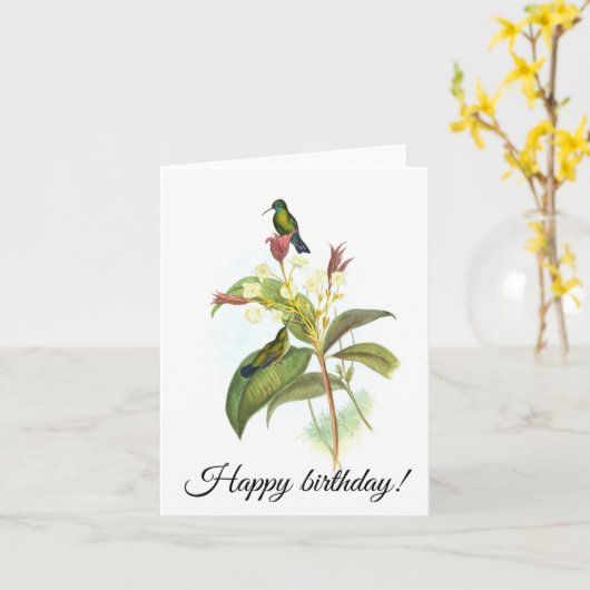 Eucephala caerulea (Blue-chinned Sapphire) カード (黄色い花)