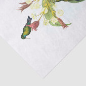 Eucephala caerulea (Blue-chinned Sapphire) 薄葉紙 (詳細)