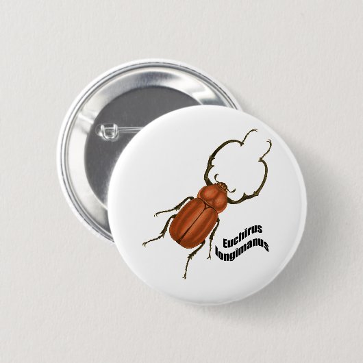 Euchirusのlongimanis 缶バッジ (正面&裏面)