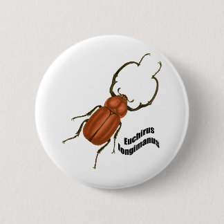 Euchirusのlongimanis 缶バッジ