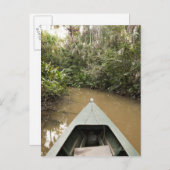 Eucylptusの木から成っている木のカヌーは2で浮かびます ポストカード (正面/裏面)