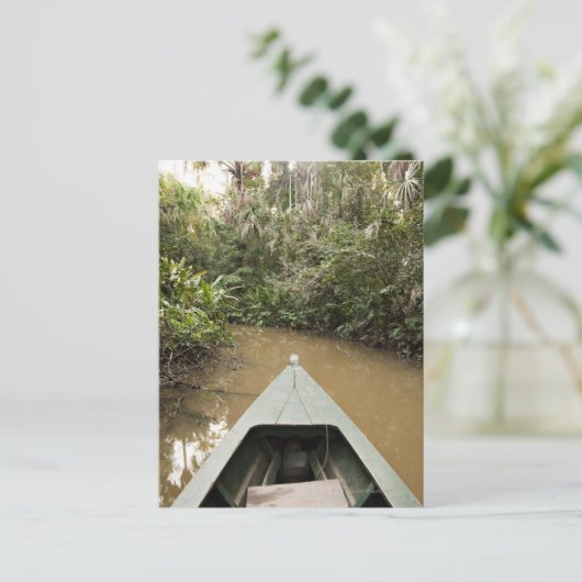 Eucylptusの木から成っている木のカヌーは2で浮かびます ポストカード (スタンド正面)