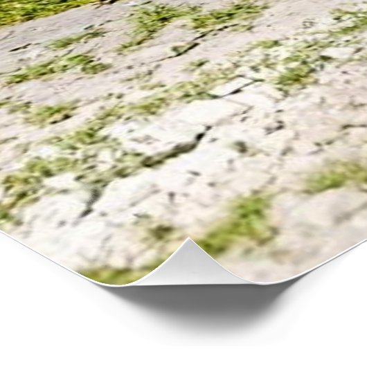 Eugene Christophe Tour de France 1922 Aubisque  ポスター (コーナー)