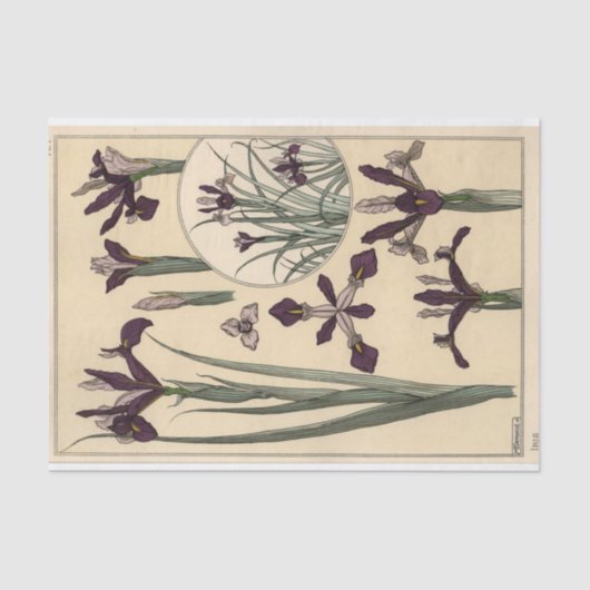 Eugene Grasset's Botany Seriesアイリス 薄葉紙 (正面)