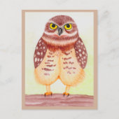 Eule Postkarte ポストカード (正面)