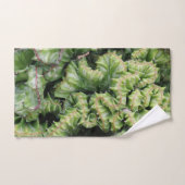 Euphorbia ハンドタオル (ハンドタオル)