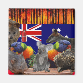 Eur 救  Homes -消火 マグネット