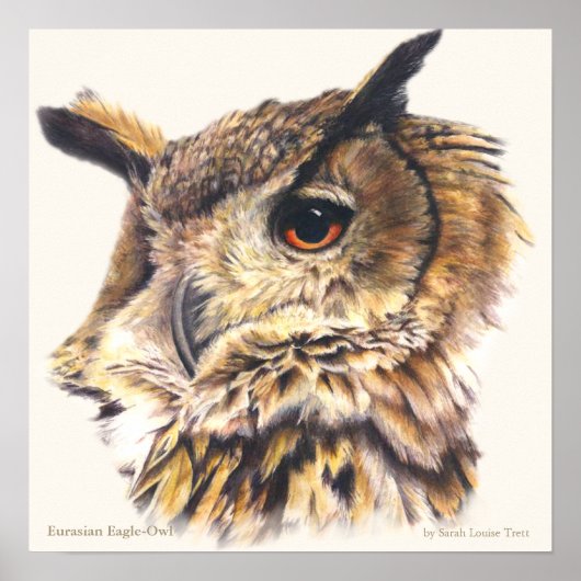 Eurasian Eagle Owl Ornithological fine art poster ポスター (正面)