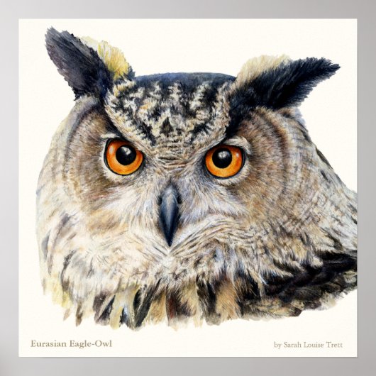 Eurasian Eagle Owl Ornithological fine art poster ポスター (正面)
