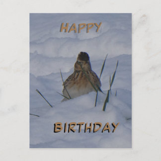 Eurasian Skylark Bird Cust. Text Birthday Postcard シーズンポストカード