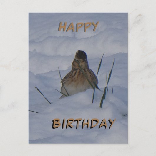 Eurasian Skylark Bird Cust. Text Birthday Postcard シーズンポストカード (正面)