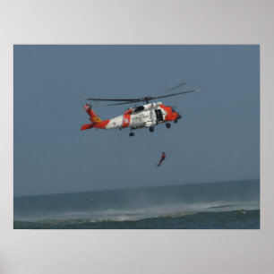 Eurocopter MH-65Dのイルカ ポスター