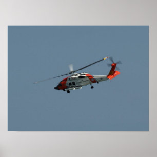 Eurocopter MH-65Dのイルカ ポスター