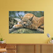 Europ_�ischer Luchs、Eurasischer Luchs (Lynx) キャンバスプリント (インサイチュ (リビング))