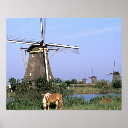 Europe, Netherlands, Zuid Holland, Kinderdijk. 2 ポスター (正面)