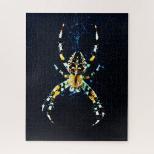 European Garden Spider 16x20 520pc jpm ジグソーパズル