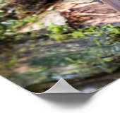 European Robin on logのポスター ポスター (角)