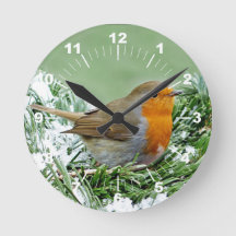 European Robin Pine Snowの写真