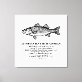 European Sea Bass Branzino Vintage  キャンバスプリント