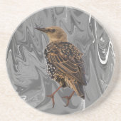 European Starling Bird Coaster コースター (正面)