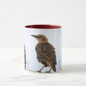 European Starling Bird Mug マグカップ (中央)