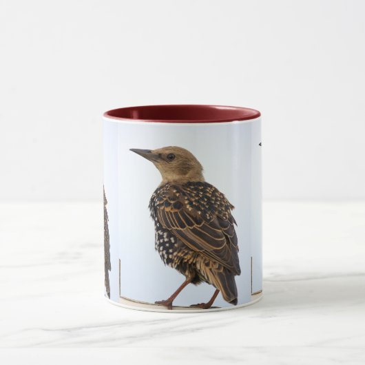 European Starling Bird Mug マグカップ (中央)